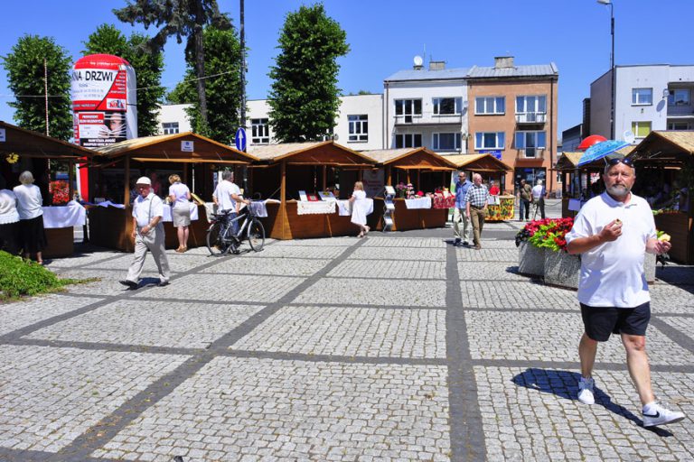 Festiwal Kulinariów i Sztuki Ludowej w Kraśniku – 5.07.2015r.